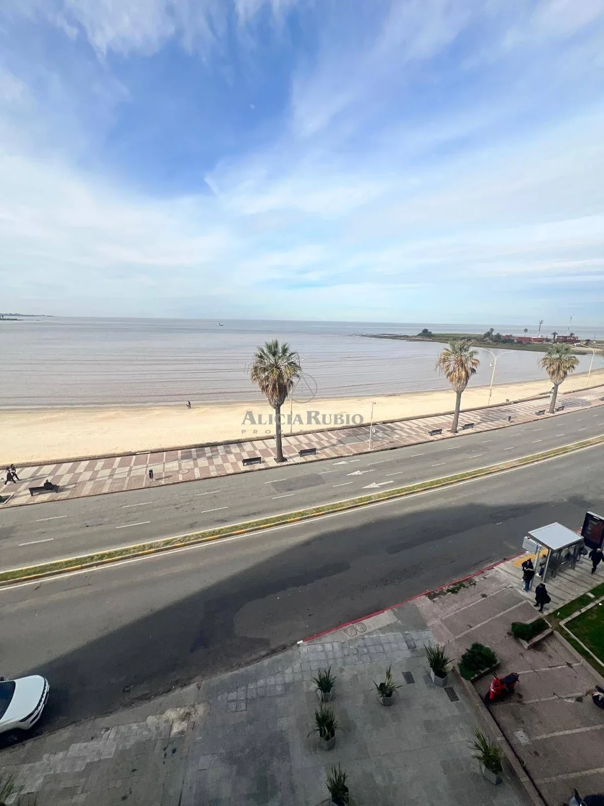RAMBLA y PLAZA GOMENSORO. PISO MEDIO. 245 MTS. 4 DORM + 4 BAÑOS. SERV.COMP. TERRAZA CON PARRILLERO.2 GJES INDEPENDIENTE. DEL 2008 - Imagen 4