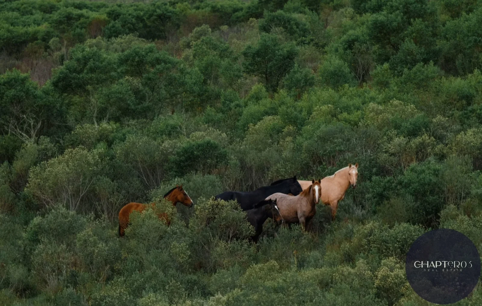 Campo en venta de 1188ha ubicado en Treinta y Tres - Imagen 5