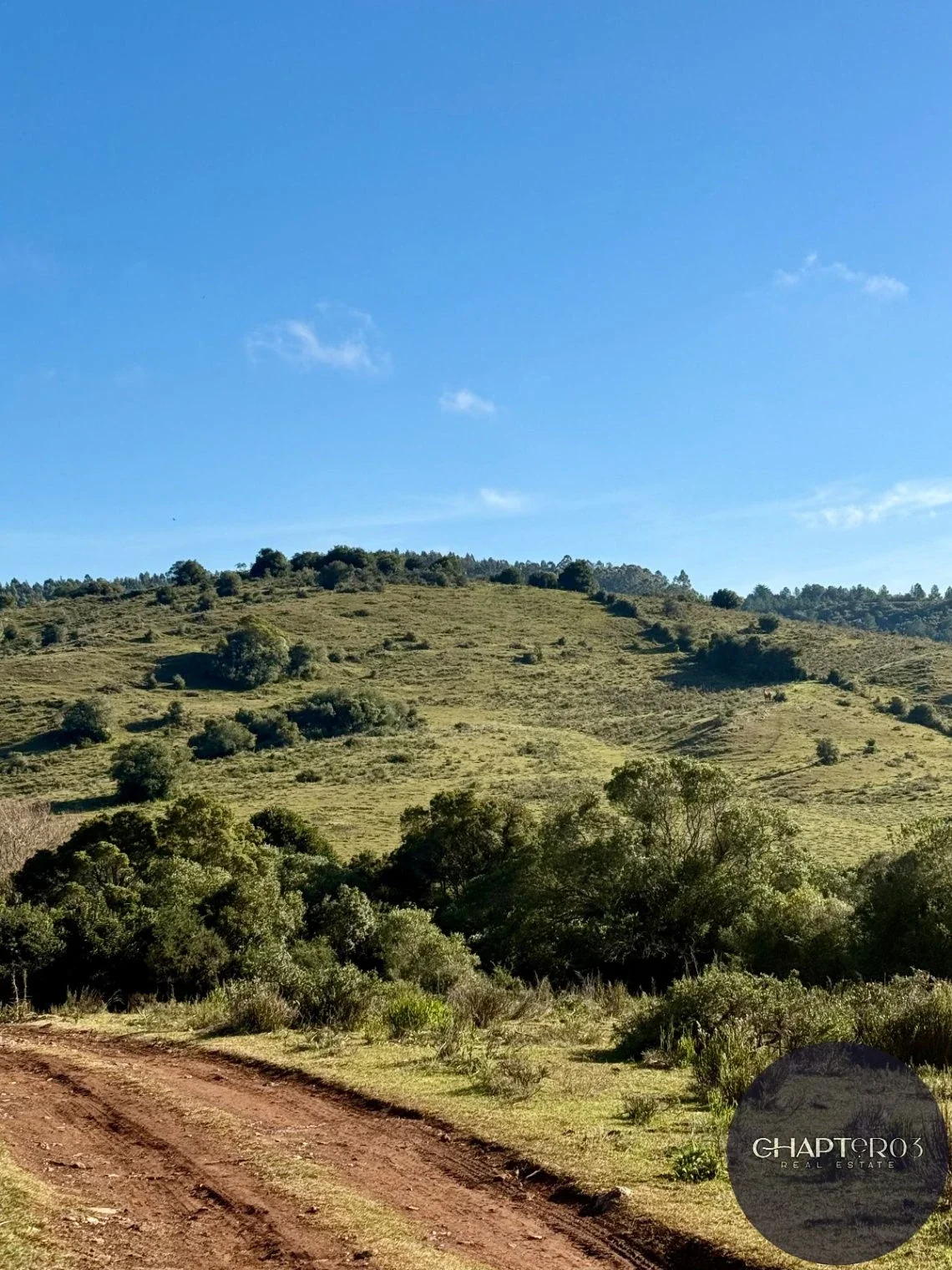 Chacra en venta de 52209m2 ubicado en San Francisco De Las Sierras - Imagen 1