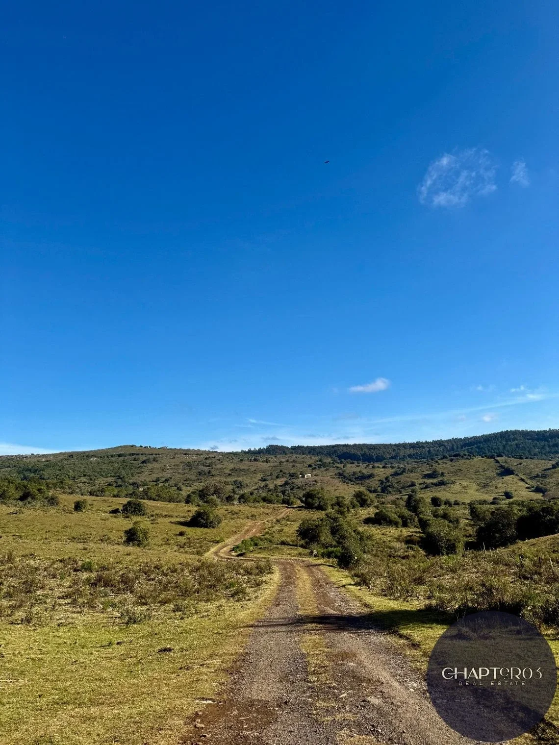 Chacra en venta de 52209m2 ubicado en San Francisco De Las Sierras - Imagen 2