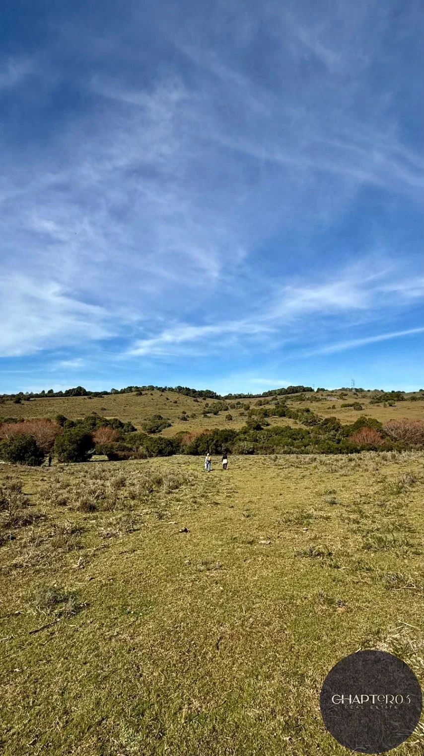 Chacra en venta de 52209m2 ubicado en San Francisco De Las Sierras - Imagen 5