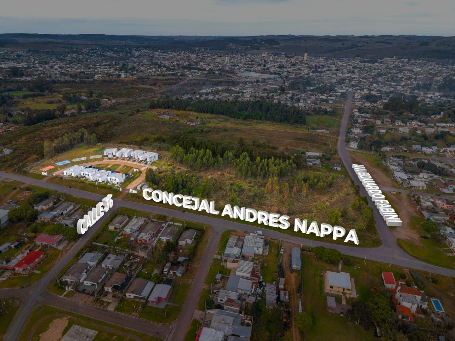 Terreno en venta de 20885m2 ubicado en Minas - Imagen 2