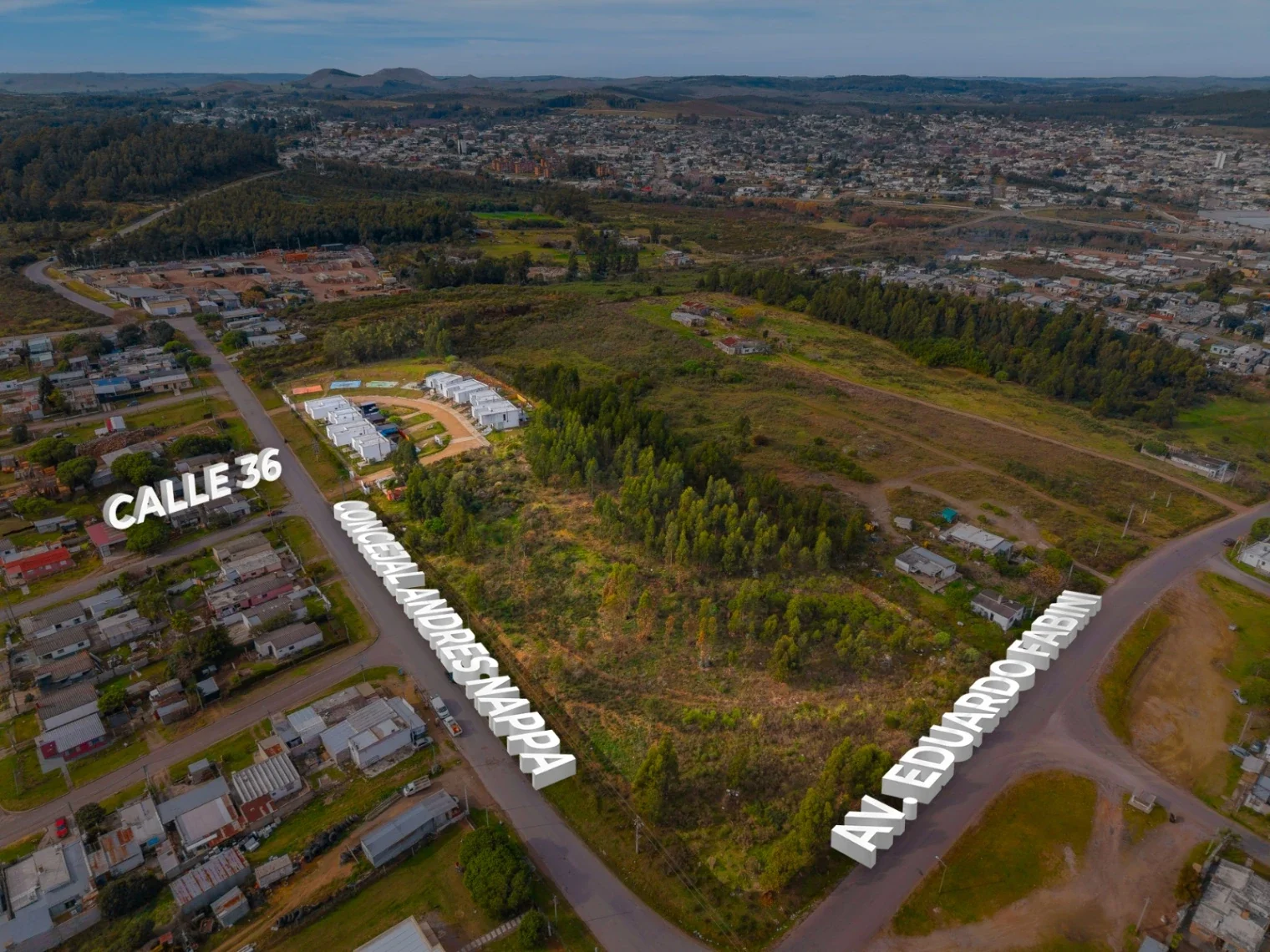 Terreno en venta de 20885m2 ubicado en Minas - Imagen 4