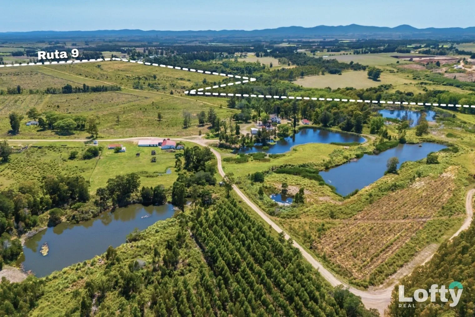 Campo en Venta de 487 has. en Canelones, Capilla De Cella sobre Ruta 9 - Imagen 4