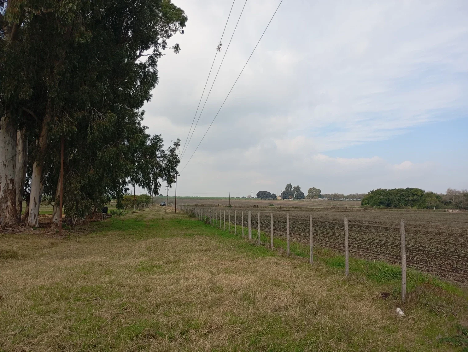 Chacra en venta de 6ha ubicado en Carmelo - Imagen 1