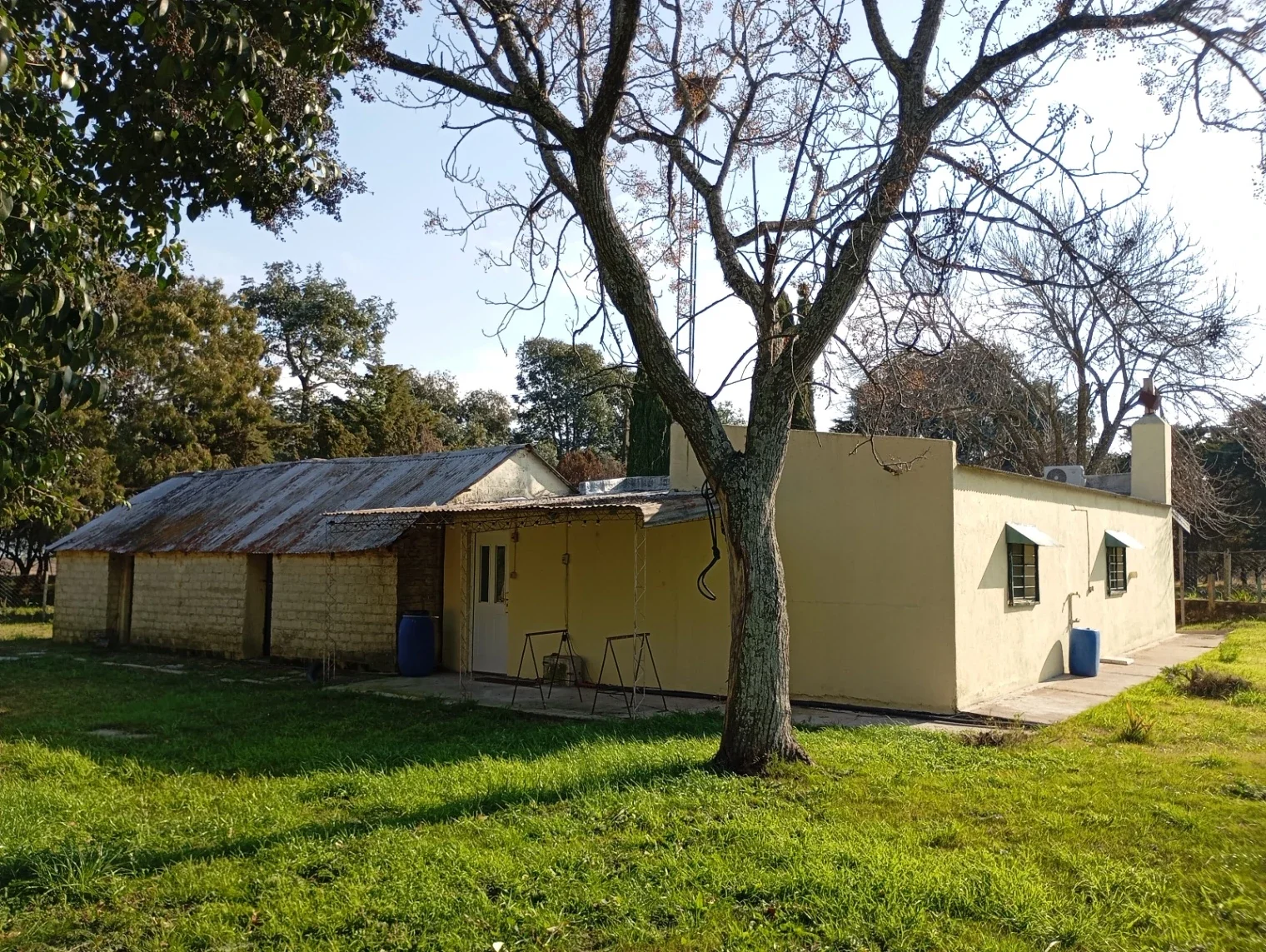 Chacra en venta de 5ha ubicado en Carmelo - Imagen 4