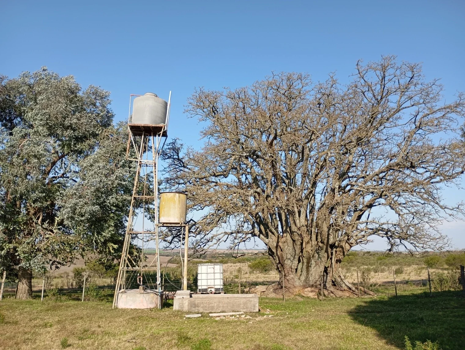 Chacra en venta de 5ha ubicado en Carmelo - Imagen 3