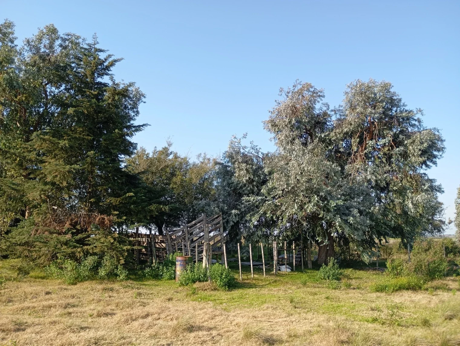 Chacra en venta de 5ha ubicado en Carmelo - Imagen 5