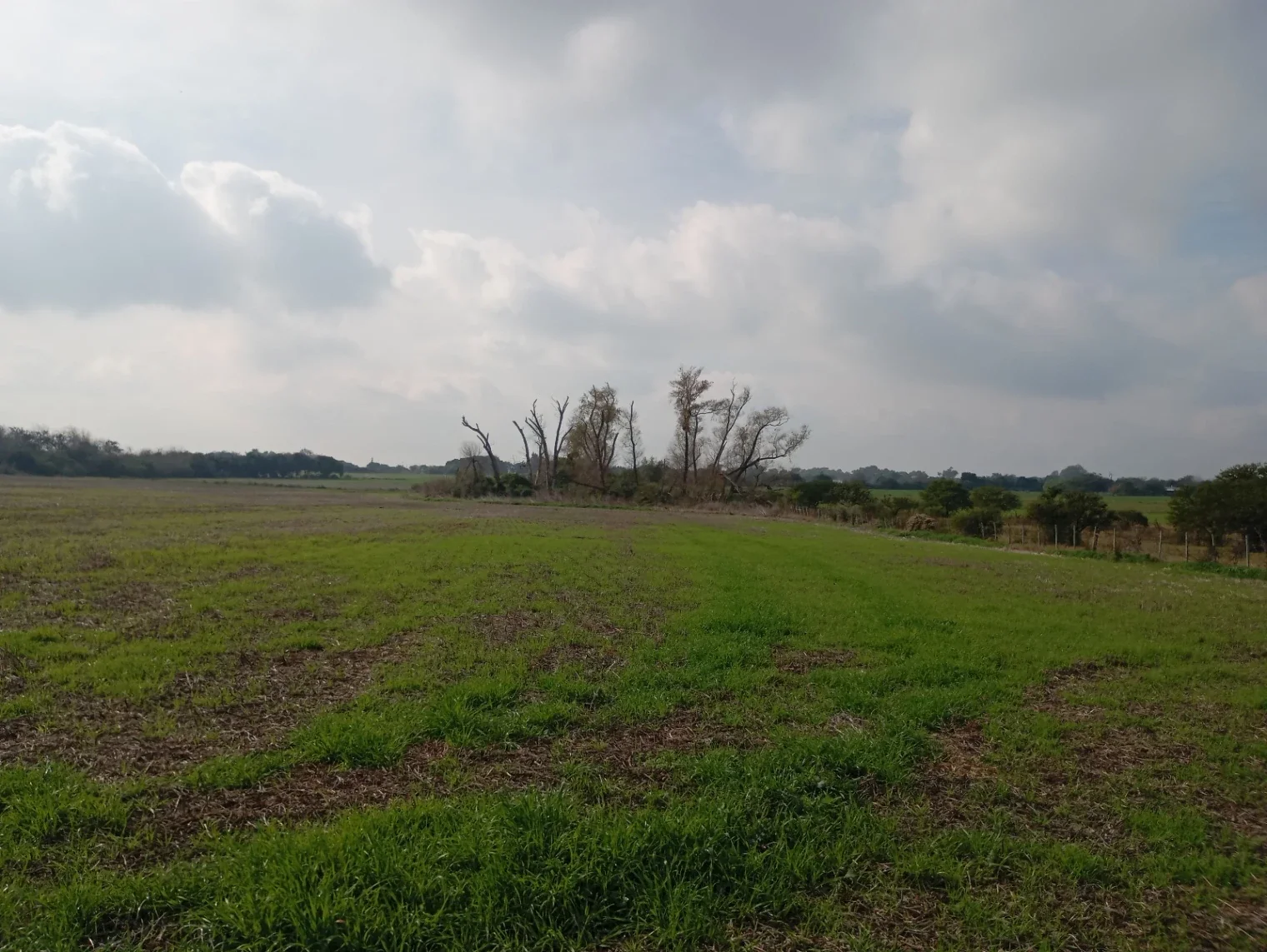 Chacra en venta de 6ha ubicado en Carmelo - Imagen 4