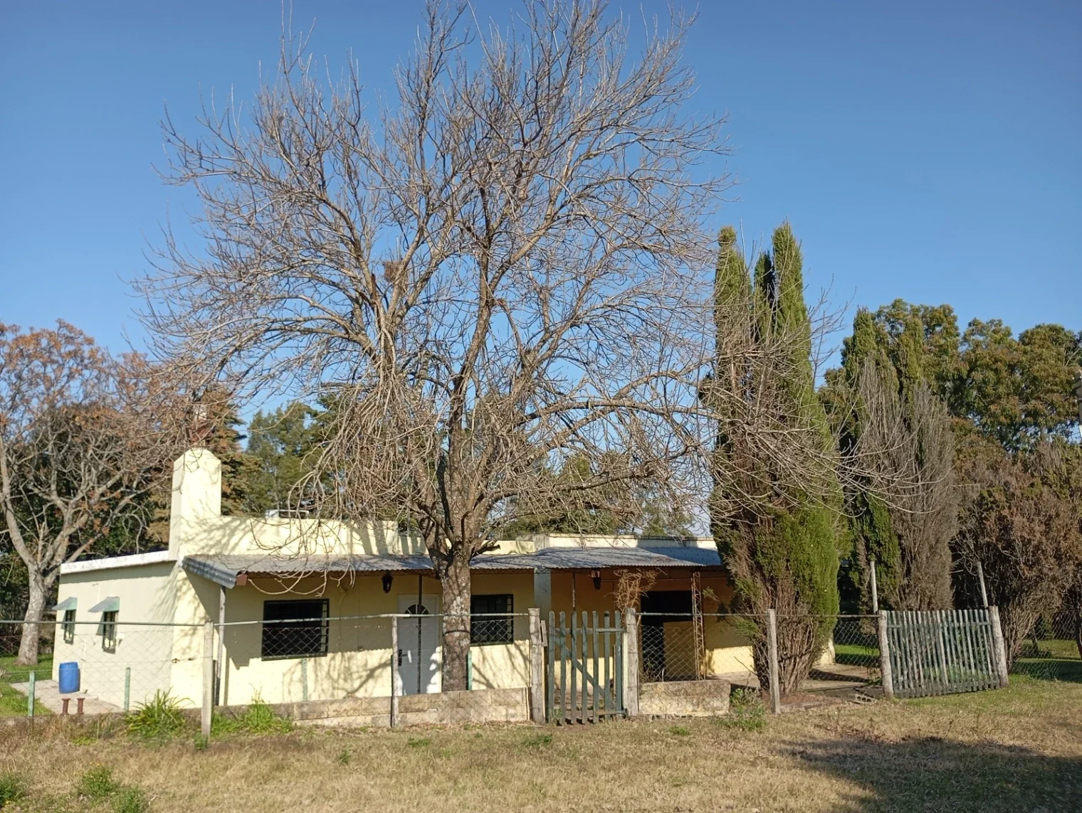 Chacra en venta de 5ha ubicado en Carmelo - Imagen 2