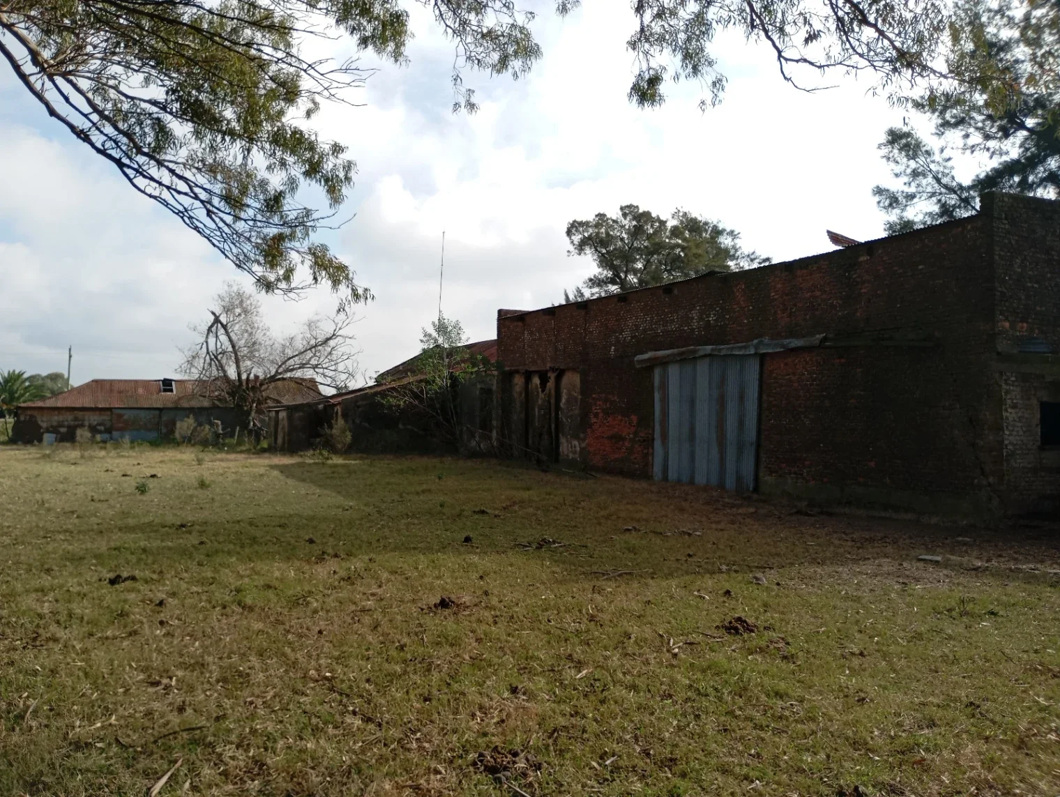 Chacra en venta de 5ha ubicado en Ombues De Lavalle - Imagen 2