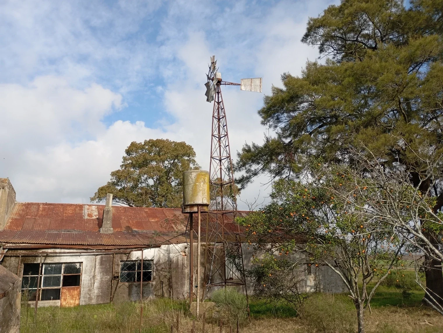 Chacra en venta de 5ha ubicado en Ombues De Lavalle - Imagen 3