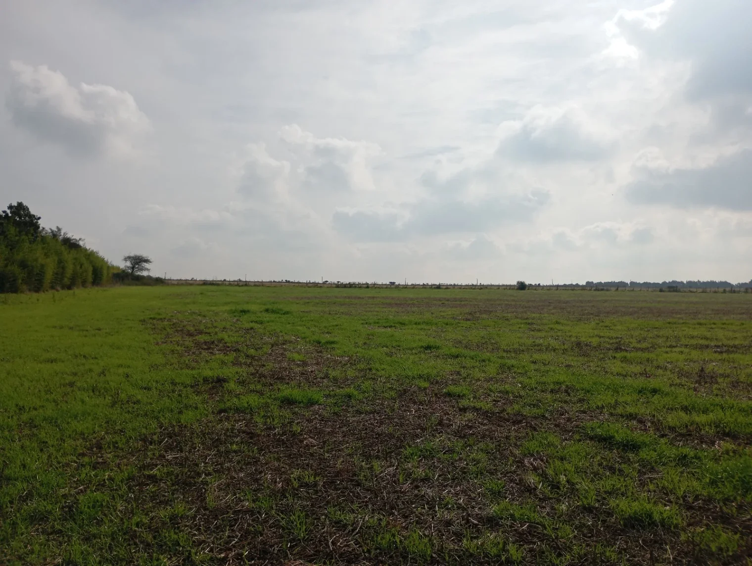 Chacra en venta de 6ha ubicado en Carmelo - Imagen 5