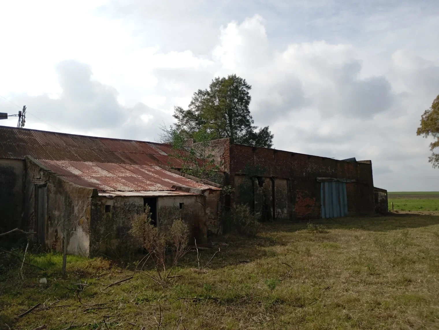 Chacra en venta de 5ha ubicado en Ombues De Lavalle - Imagen 4