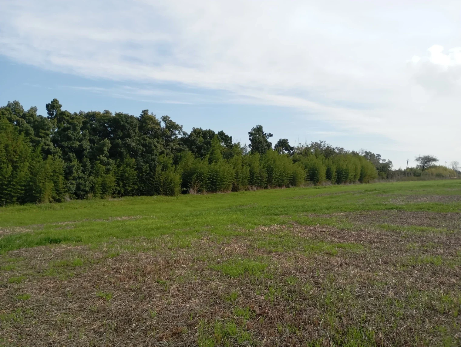 Chacra en venta de 6ha ubicado en Carmelo - Imagen 3
