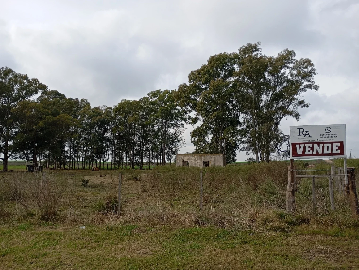 Chacra en venta de 5ha ubicado en Ombues De Lavalle - Imagen 1