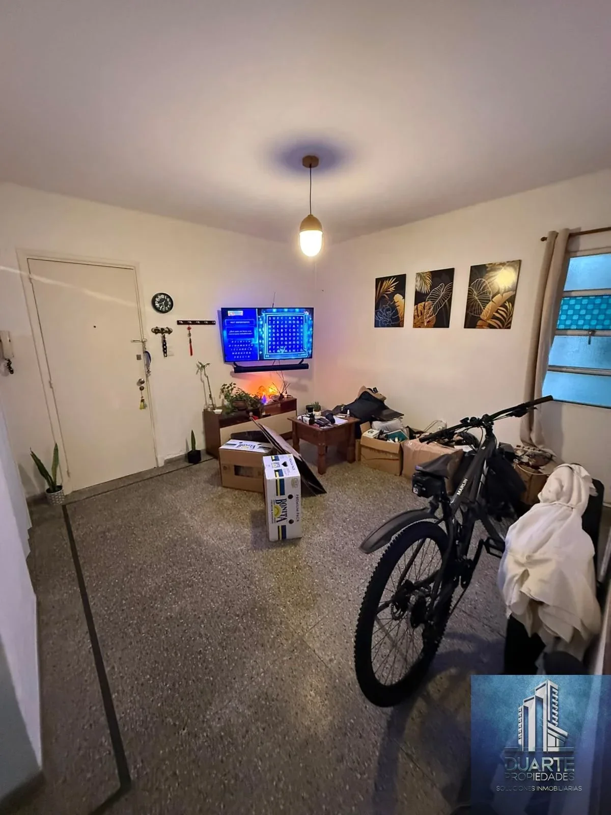 Apartamento en alquiler en Buceo - Imagen 2