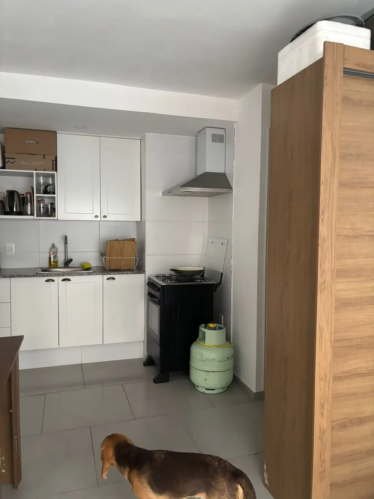 Alquiler Apartamento Monoambiente con Patio, Parque Rodó - Imagen 2