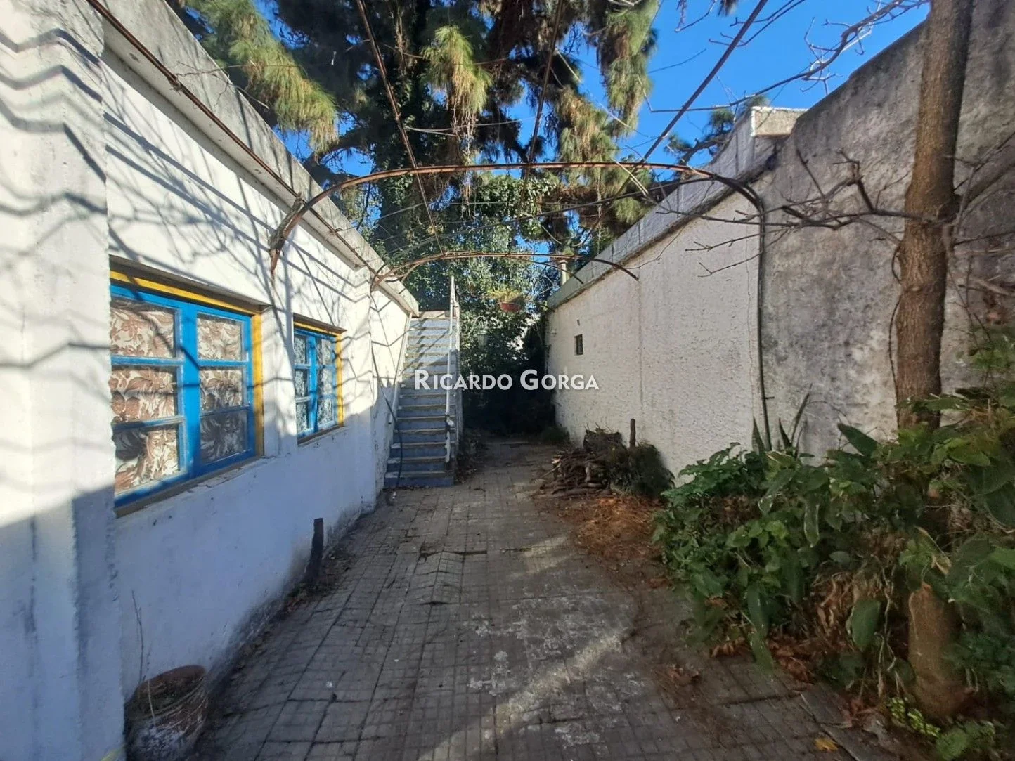 IDEAL INVERSORES - CASA a reciclar PH 3 dormitorios sobre Joaquín Suarez - Prado - Imagen 4