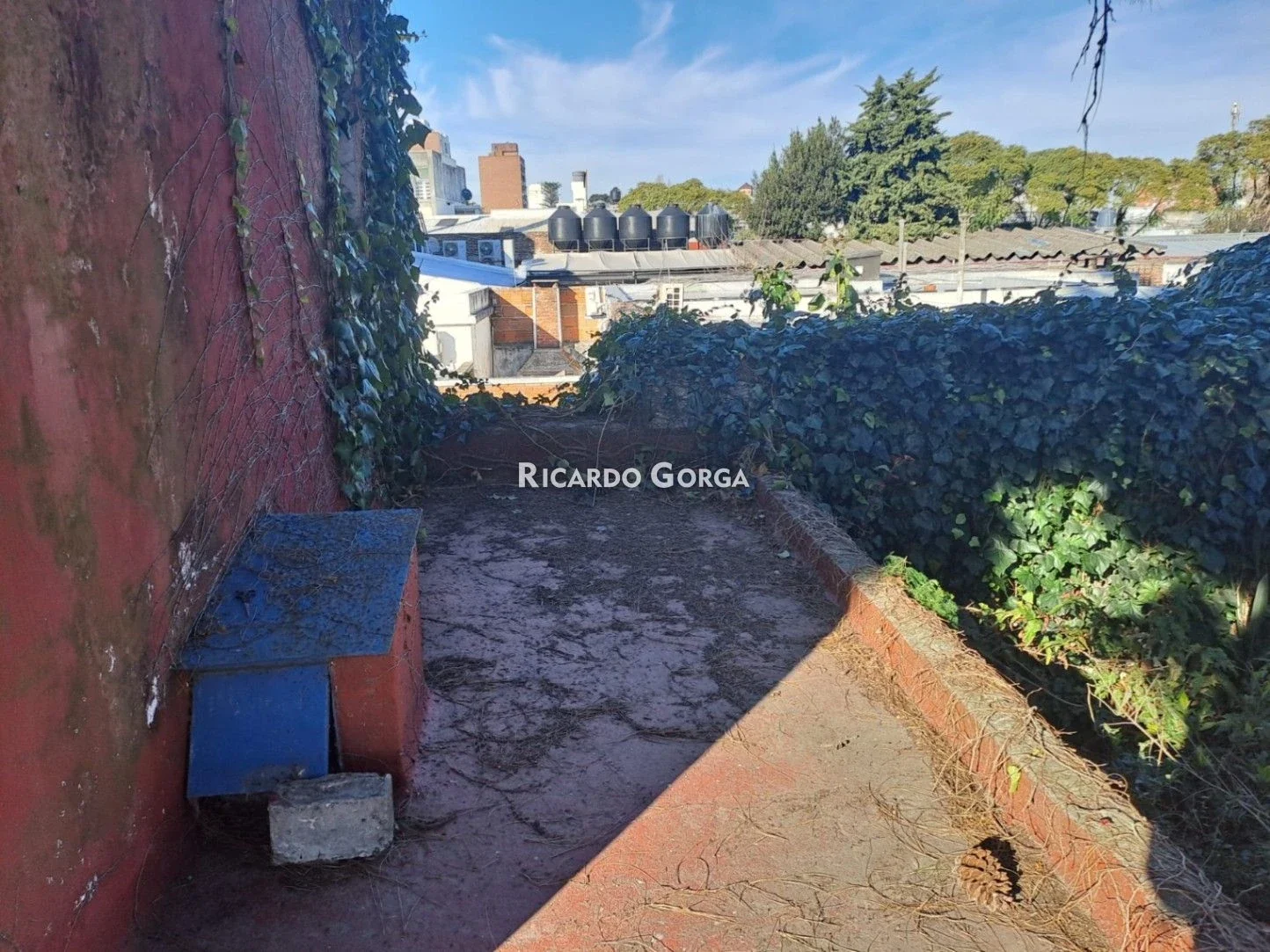 IDEAL INVERSORES - CASA a reciclar PH 3 dormitorios sobre Joaquín Suarez - Prado - Imagen 5