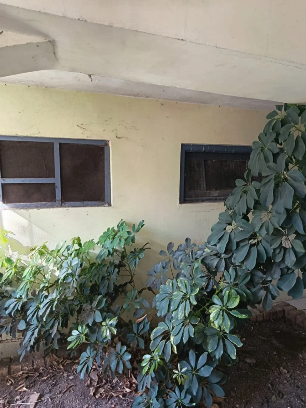 Apartamento en alquiler en Cerro - Imagen 3