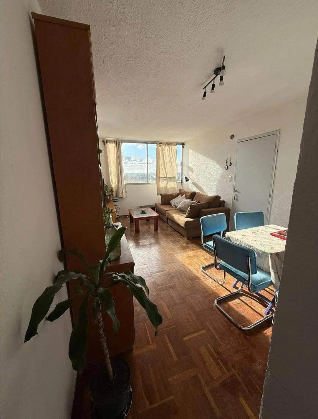 Apartamento en alquiler c/ cochera en Malvin Norte - Imagen 4