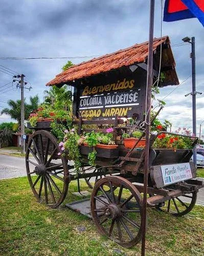 Chacra en venta de 3ha ubicado en Colonia Valdense - Imagen 3